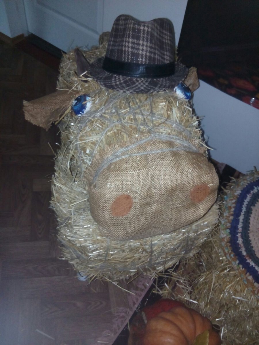 IMG-c2e0ba80d00346875bb75db3506cf325-V