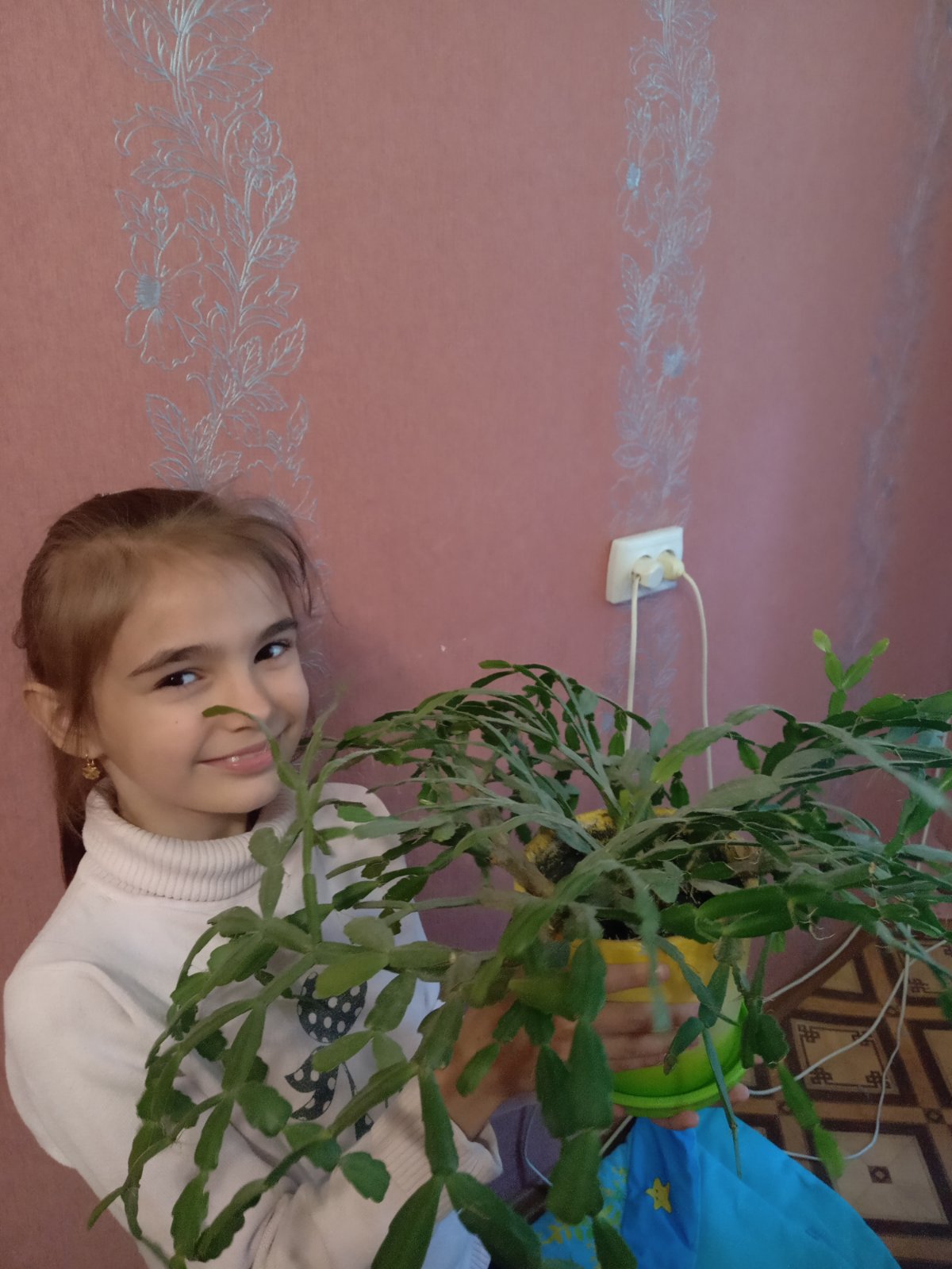 Моiсеeнко Анастасiя 2-Г