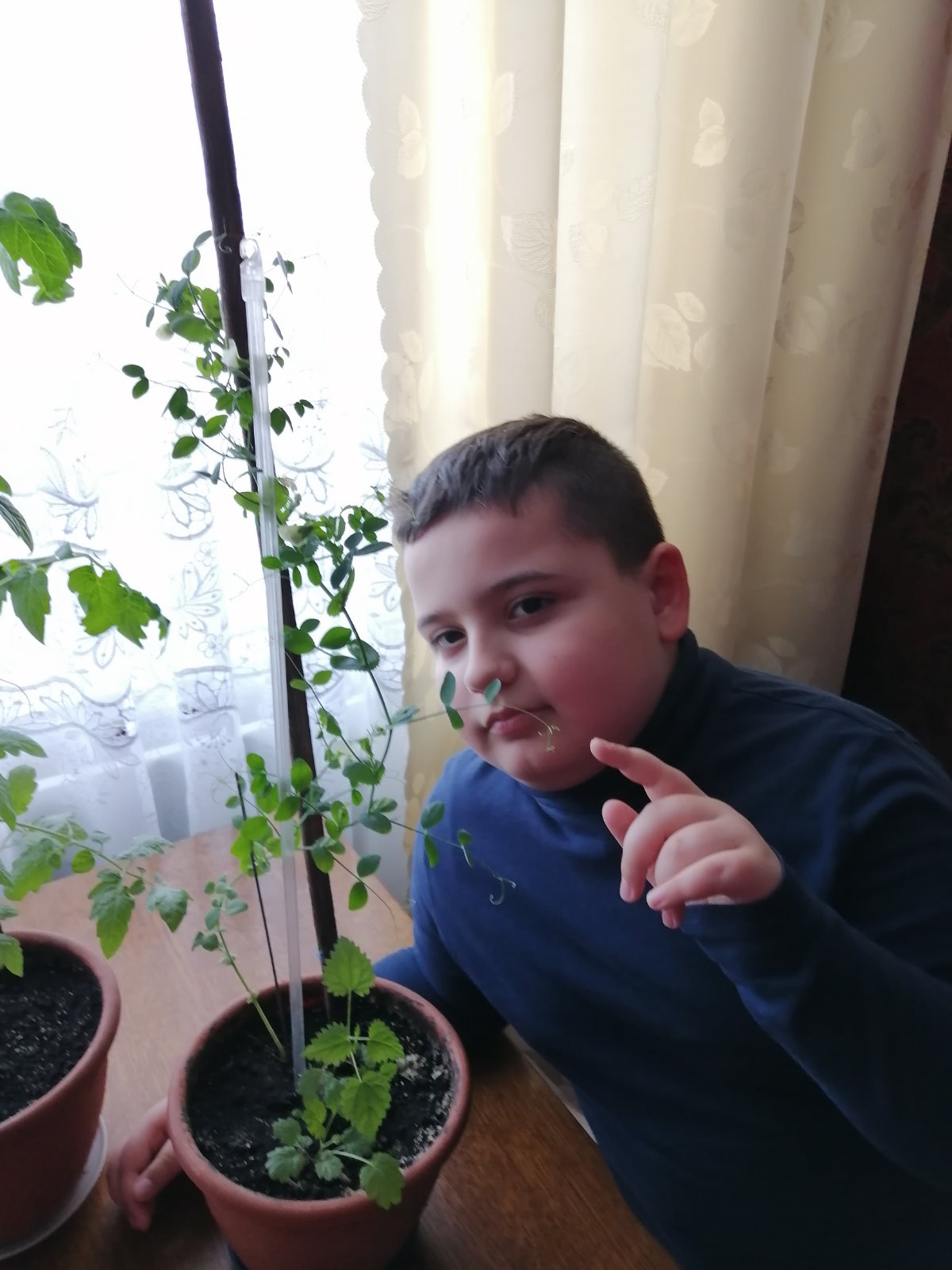 Соловйов Iлля 2-Г 2