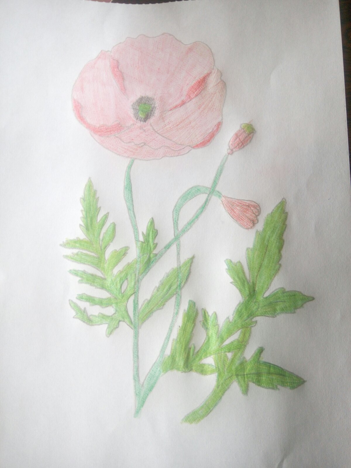 IMG-3a33b7d3f5717a3bb522839e620dadbd-V