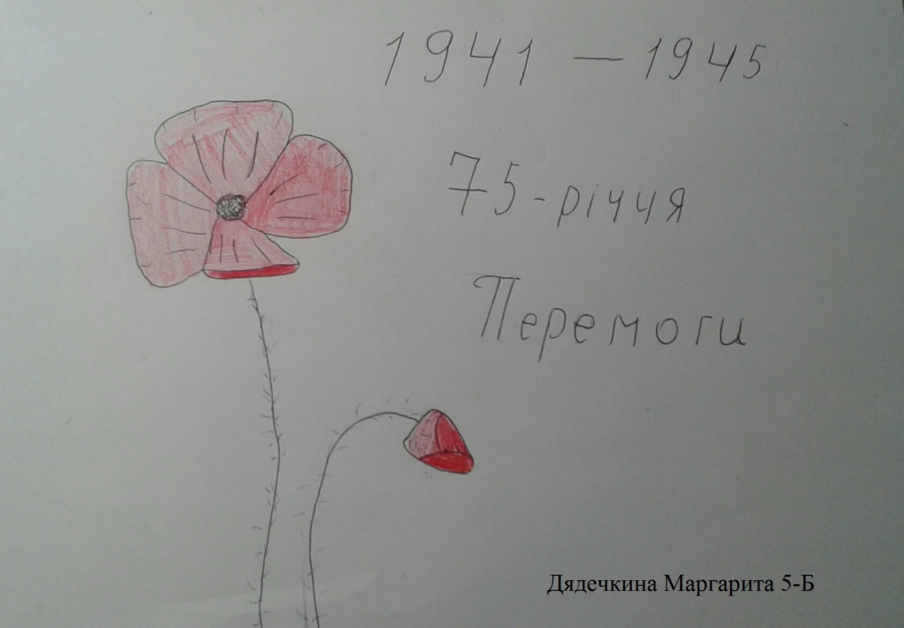 Катерина Липка 307