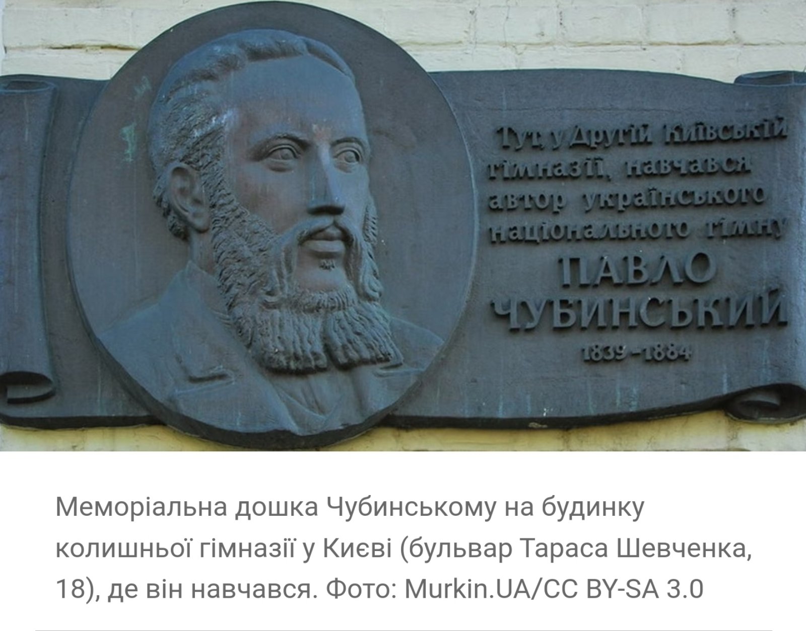 зображення viber 2022-07-13 08-59-32-449