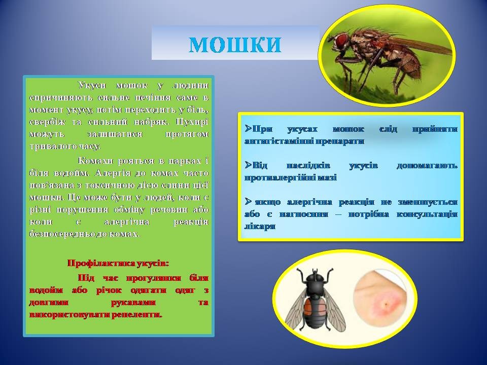зображення viber 2024-06-14 08-32-42-528