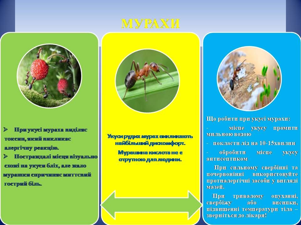 зображення viber 2024-06-14 08-32-47-641