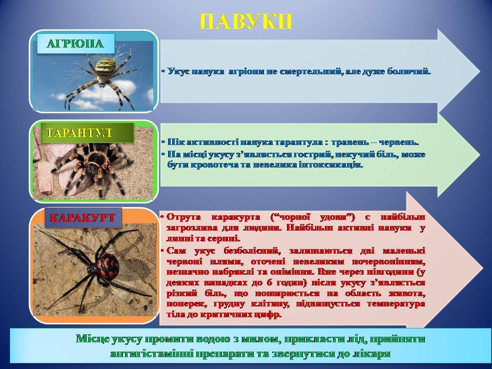 зображення viber 2024-06-14 08-32-57-218