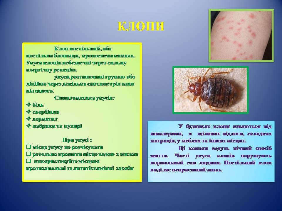 зображення viber 2024-06-14 08-33-00-490